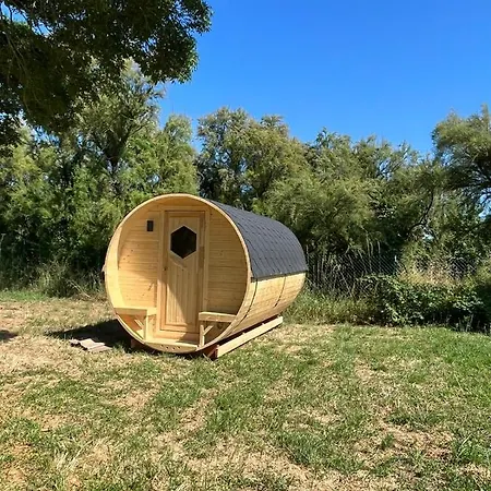 Animal King Esnandes