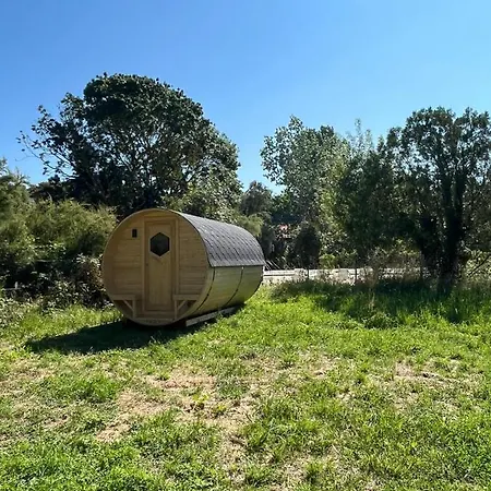 Animal King مكان تخييم *