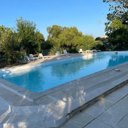 مكان تخييم Animal King