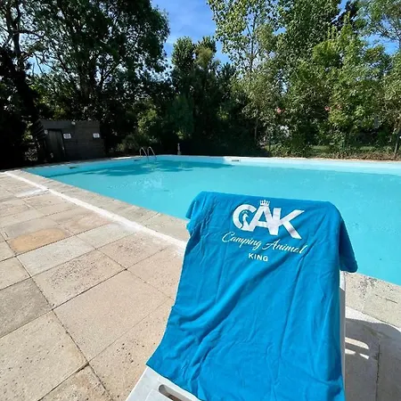 Animal King Campeggio