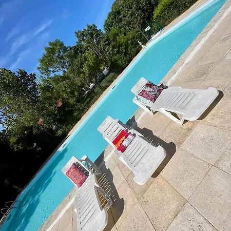 مكان تخييم Animal King