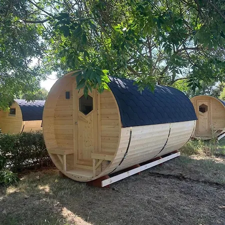 Animal King Camping