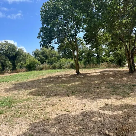 Animal King Esnandes