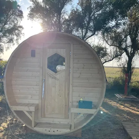 Campeggio Animal King