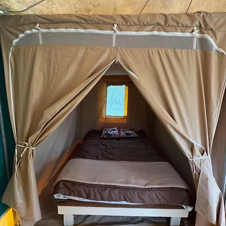 مكان تخييم Animal King