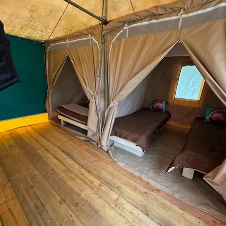 Animal King مكان تخييم *