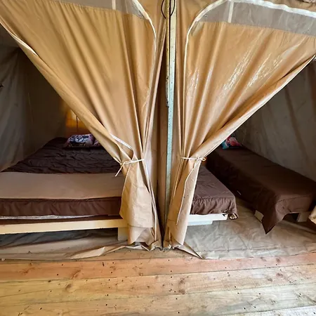 Animal King Esnandes