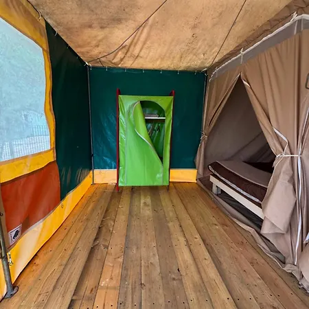 Animal King Campeggio