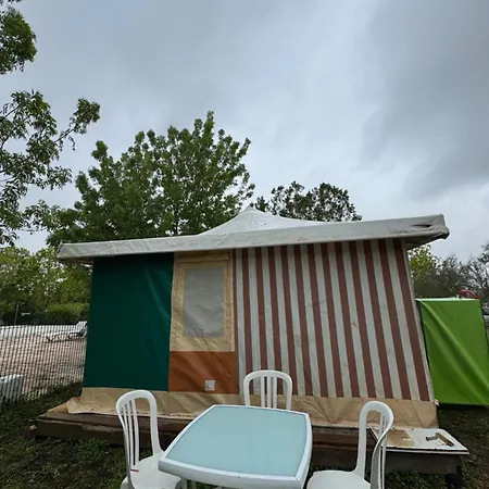 Animal King Esnandes