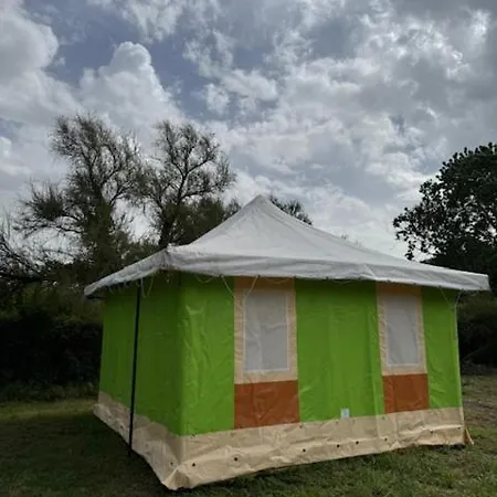 Animal King Campeggio