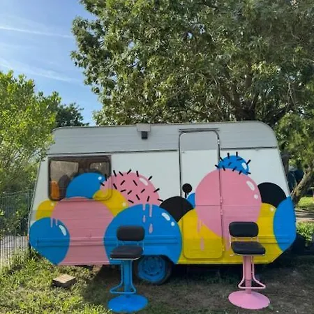 Animal King Campeggio *