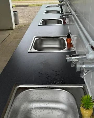 Animal King Esnandes