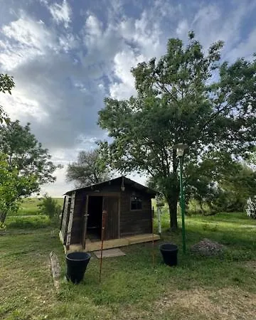 Animal King * Esnandes