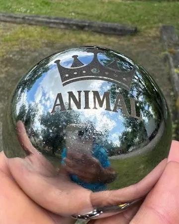 مكان تخييم Animal King