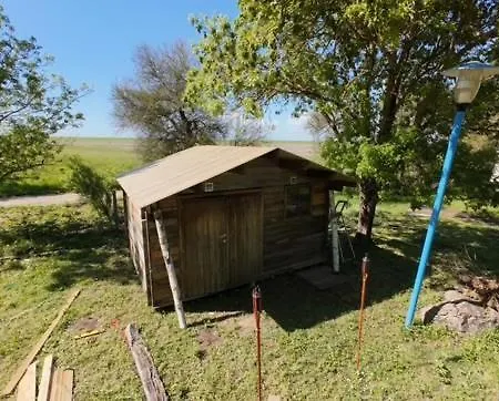 Animal King Esnandes