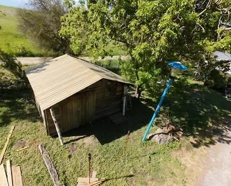 Animal King * Esnandes