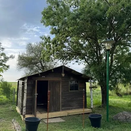 Animal King Campsite