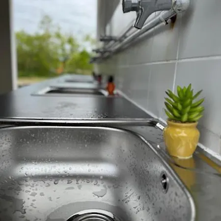 Animal King Campeggio *