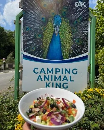 مكان تخييم Animal King *