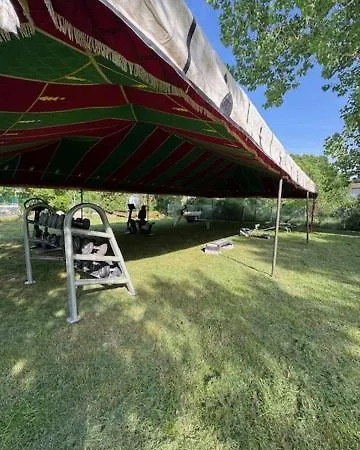 Animal King Esnandes