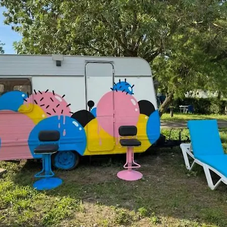 Campeggio Animal King