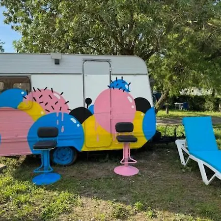 Camping Animal King