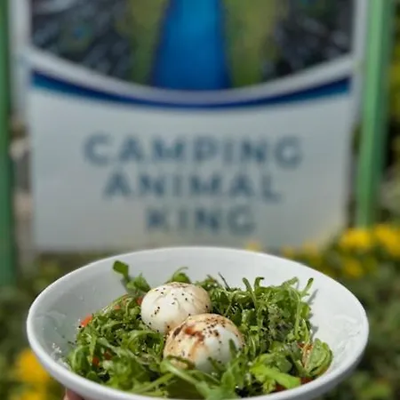 Animal King Campsite Esnandes