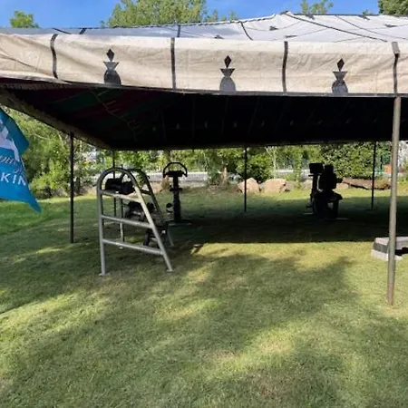 Animal King Esnandes