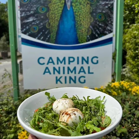 Animal King * Esnandes
