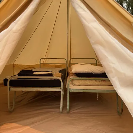 Animal King مكان تخييم Esnandes