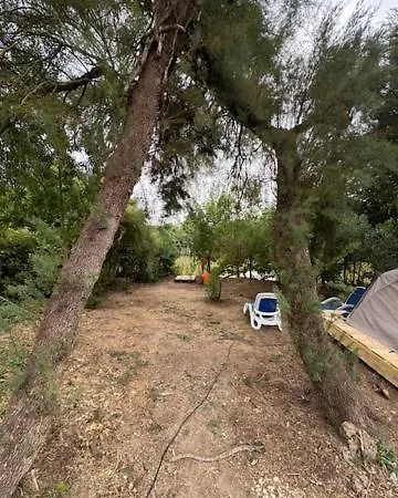 Animal King Esnandes