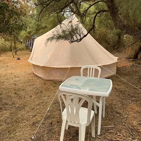 Animal King * Esnandes