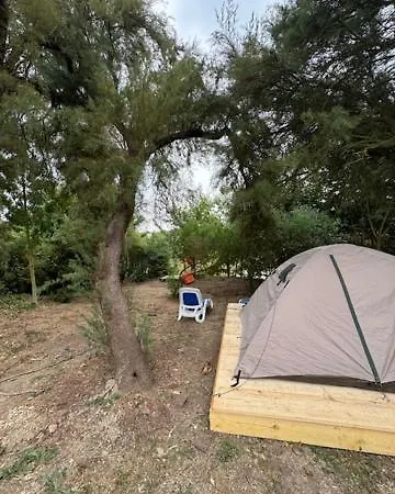 Camping Animal King