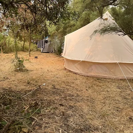 Animal King مكان تخييم *