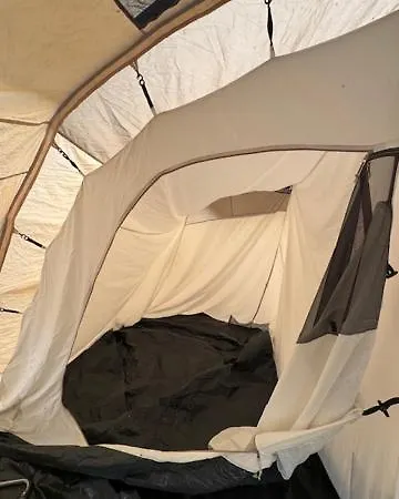 Animal King * Esnandes