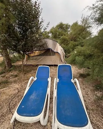 Animal King Esnandes