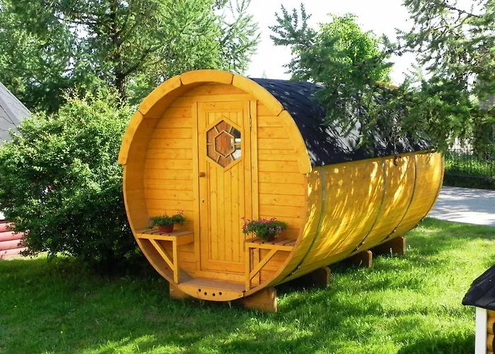 Campsite Animal King