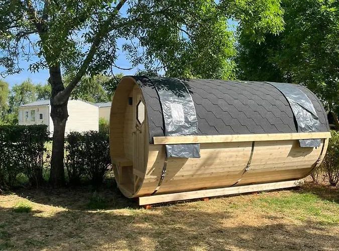 Animal King Esnandes