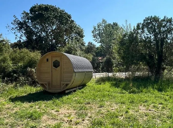 Animal King Campsite *