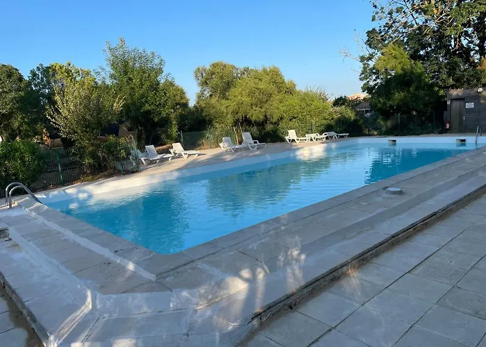 Campsite Animal King