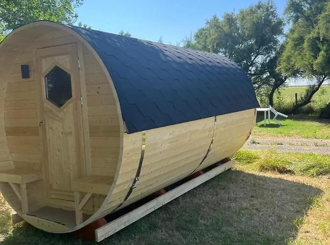 Campsite Animal King *