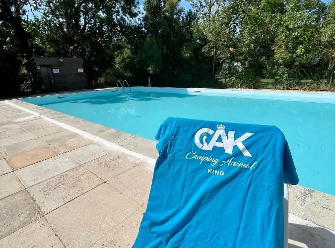 Animal King Campsite