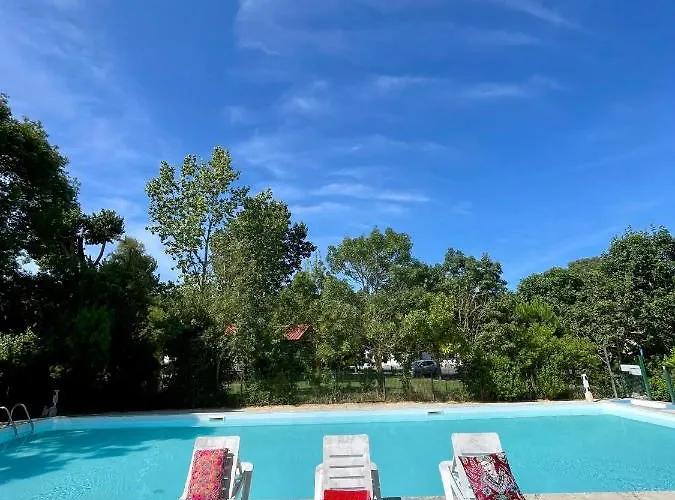 Campsite Animal King Esnandes