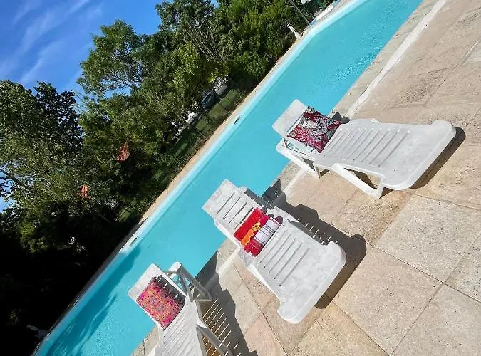 Campsite Animal King