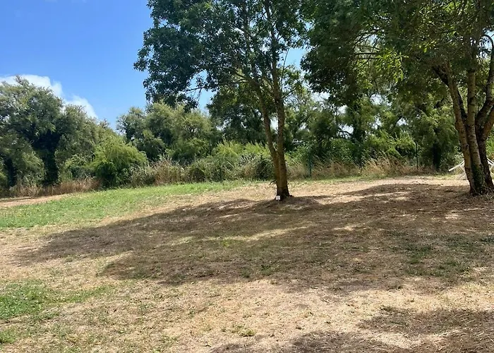 Animal King Esnandes