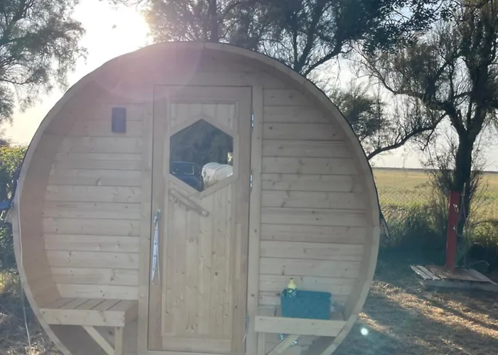 Campsite Animal King