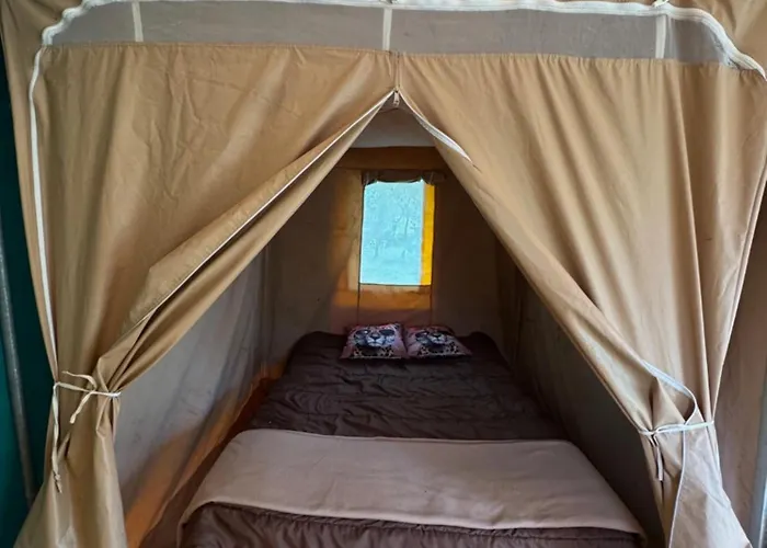 Campsite Animal King