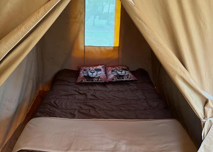 Animal King Campsite Esnandes