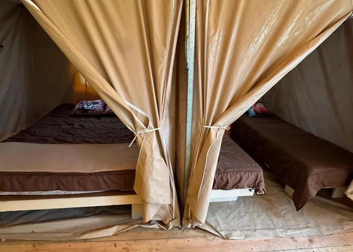 Animal King Esnandes