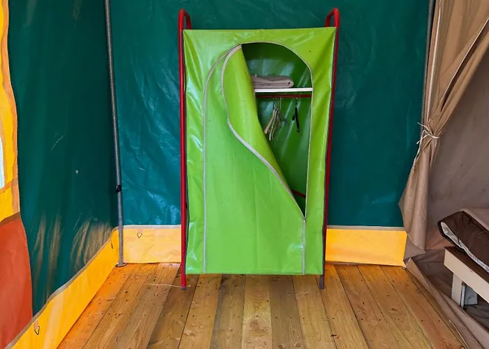 Campsite Animal King